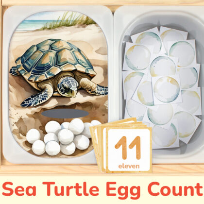 Sea Turtle Egg themed preschool counting activity placed on trofast boxes in ikea flisat children's sensory table. Printable toddler activity for ocean animals unit.