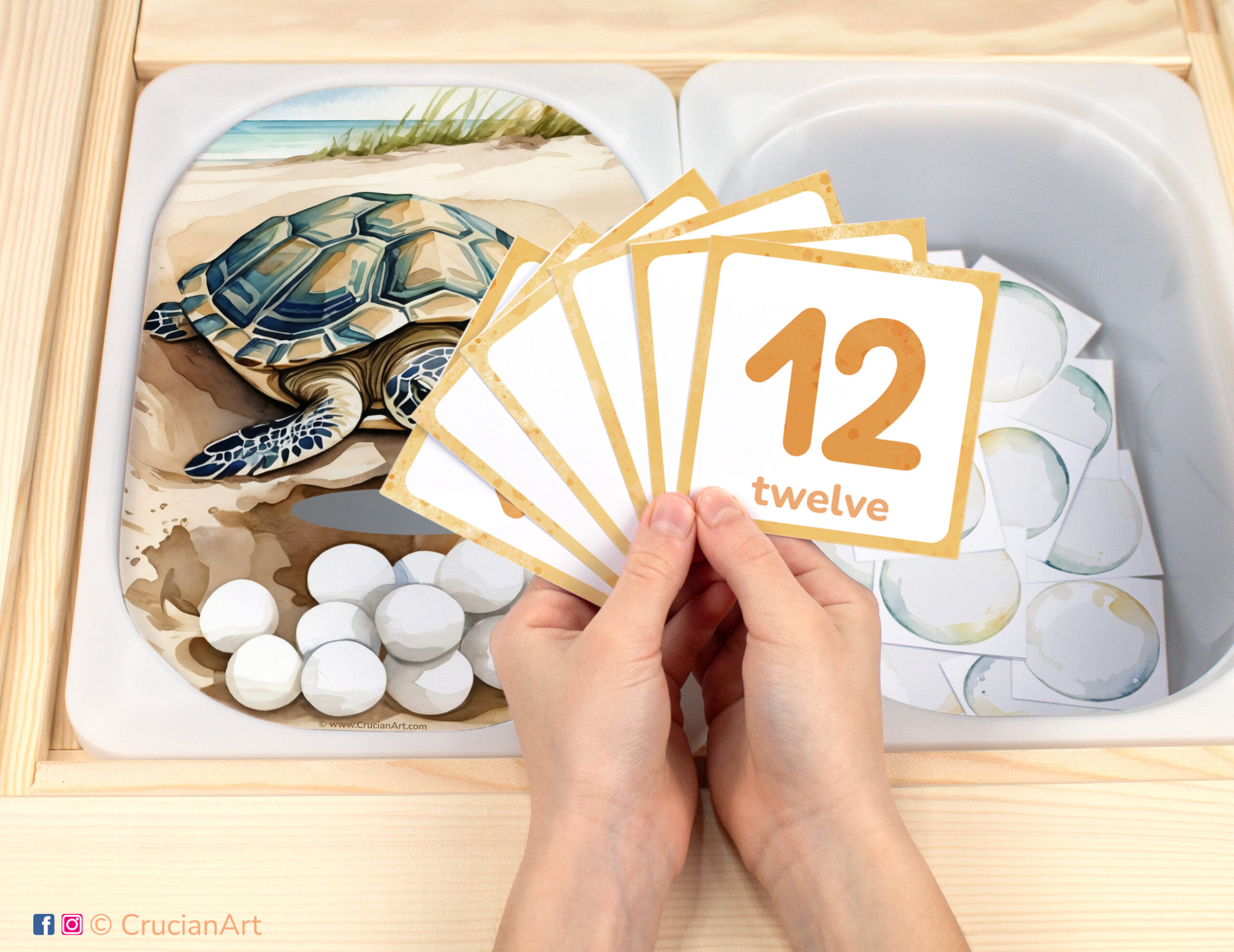 Sea turtle eggs in nest pretend play setup. Sensory table insert and kids hands holding task cards displaying numerals from 1 to 12. Printable activity for under the sea animals unit.