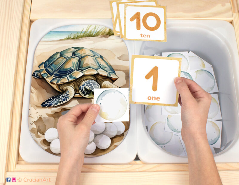 Sea turtle egg count flisat insert resource in a Montessori preschool: early math counting activity placed on an ikea children's sensory table. Ocean animals theme play for kids sensory table insert.