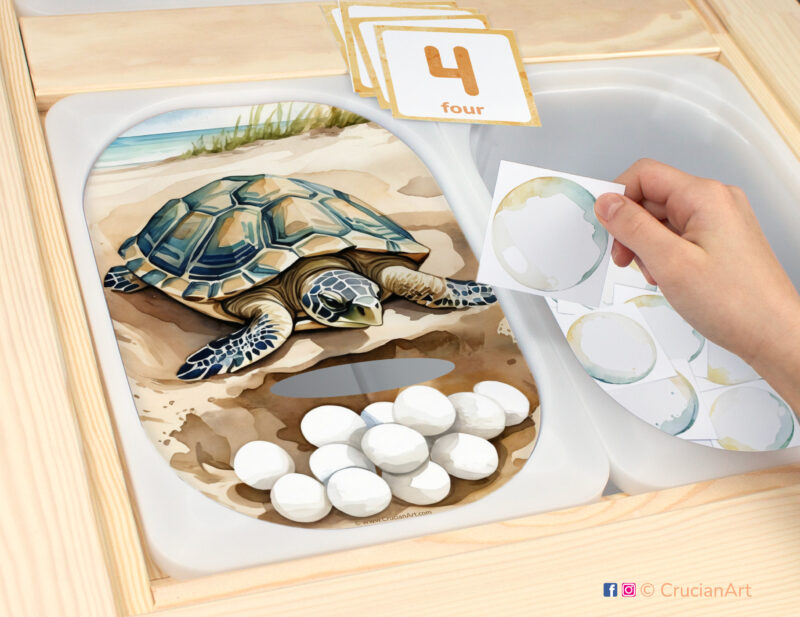Sea Turtle Egg Count sensory play in a childcare center: classroom learning printable materials for ocean animals unit. Counting trofast insert template for kids sensory bins. Printables for the ikea flisat sensory table.