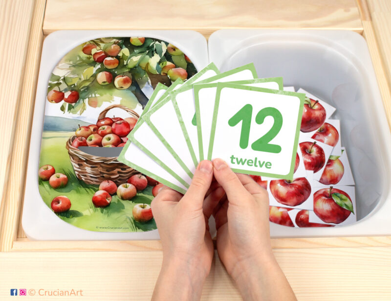 Pick up apples in a basket pretend play setup. Sensory table insert and kids hands holding task cards displaying numerals from 1 to 12. Printable activity for the apple harvest unit.