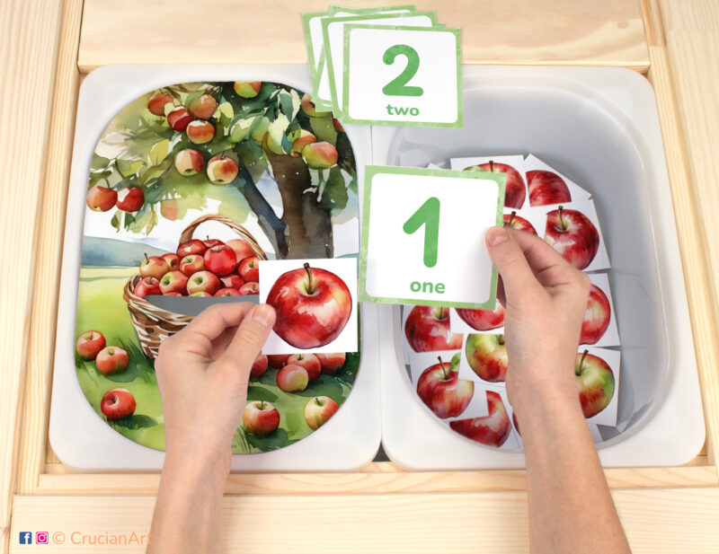 Apple count flisat insert resource in a Montessori preschool: early math counting activity placed on an ikea children's sensory table. Autumn harvest theme play for kids sensory table insert.