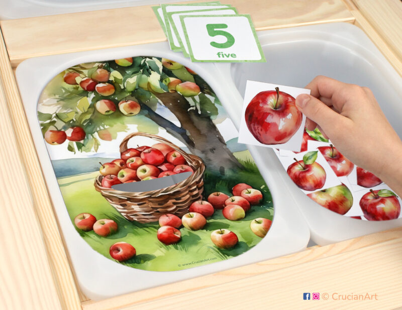 Apples count sensory play in a childcare center: classroom learning printable materials for summer and fall harvest unit. Counting trofast insert template for kids sensory bins. Printables for the ikea flisat sensory table.