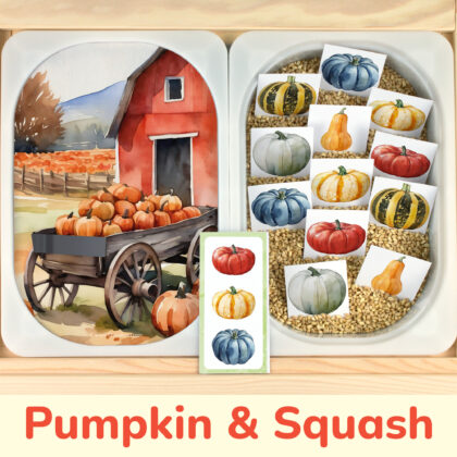 Pumpkin and squash matching activity for kids. Printable insert placed on Trofast sensory bins in IKEA Fflisat children's sensory table.