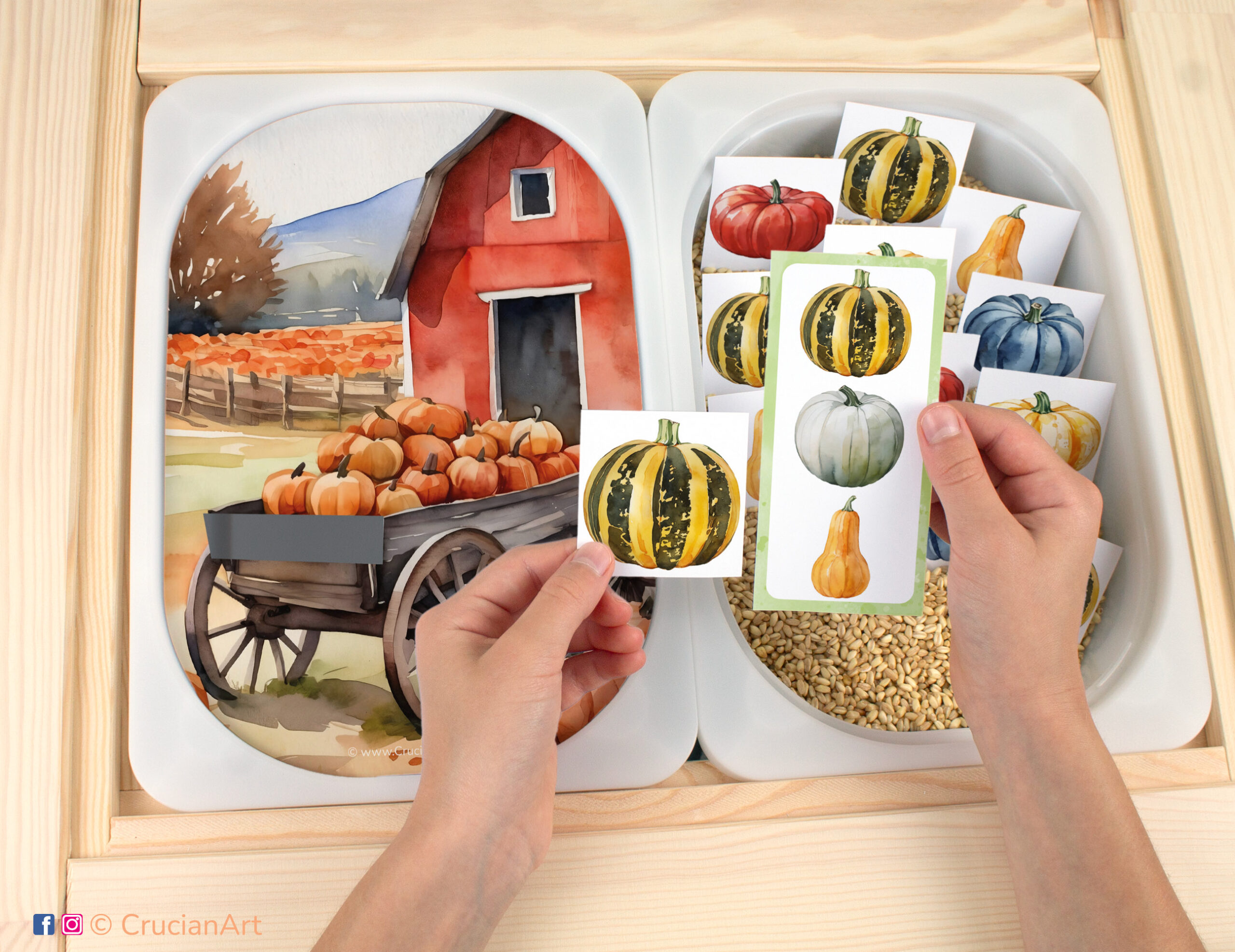 Pumpkin and squash printable Flisat insert template. Preschool matching activity on an IKEA children's sensory table.