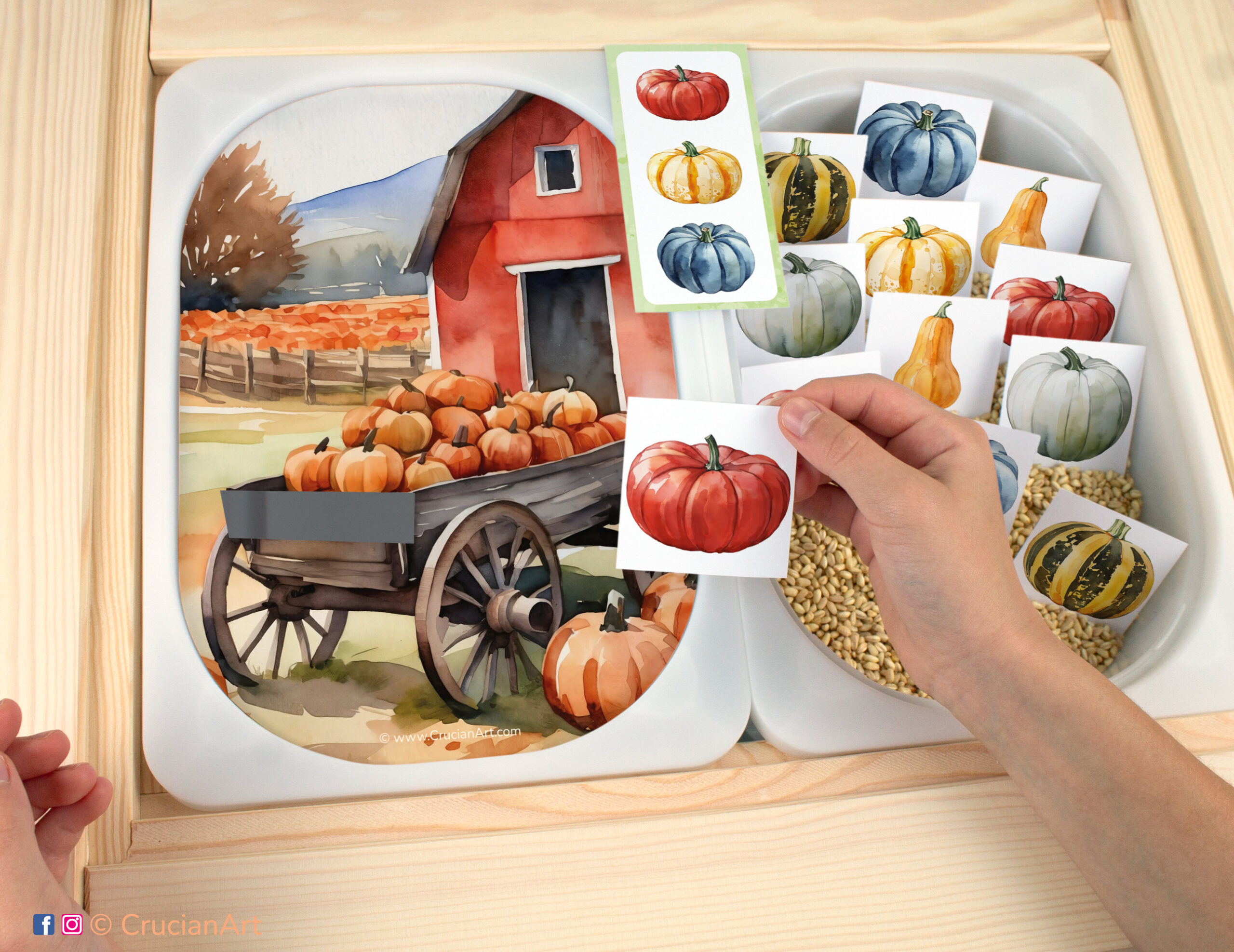 Fall harvest pretend play for toddlers and preschoolers: pumpkin and squash. Visual discrimination printable learning activity for sensory table bins.