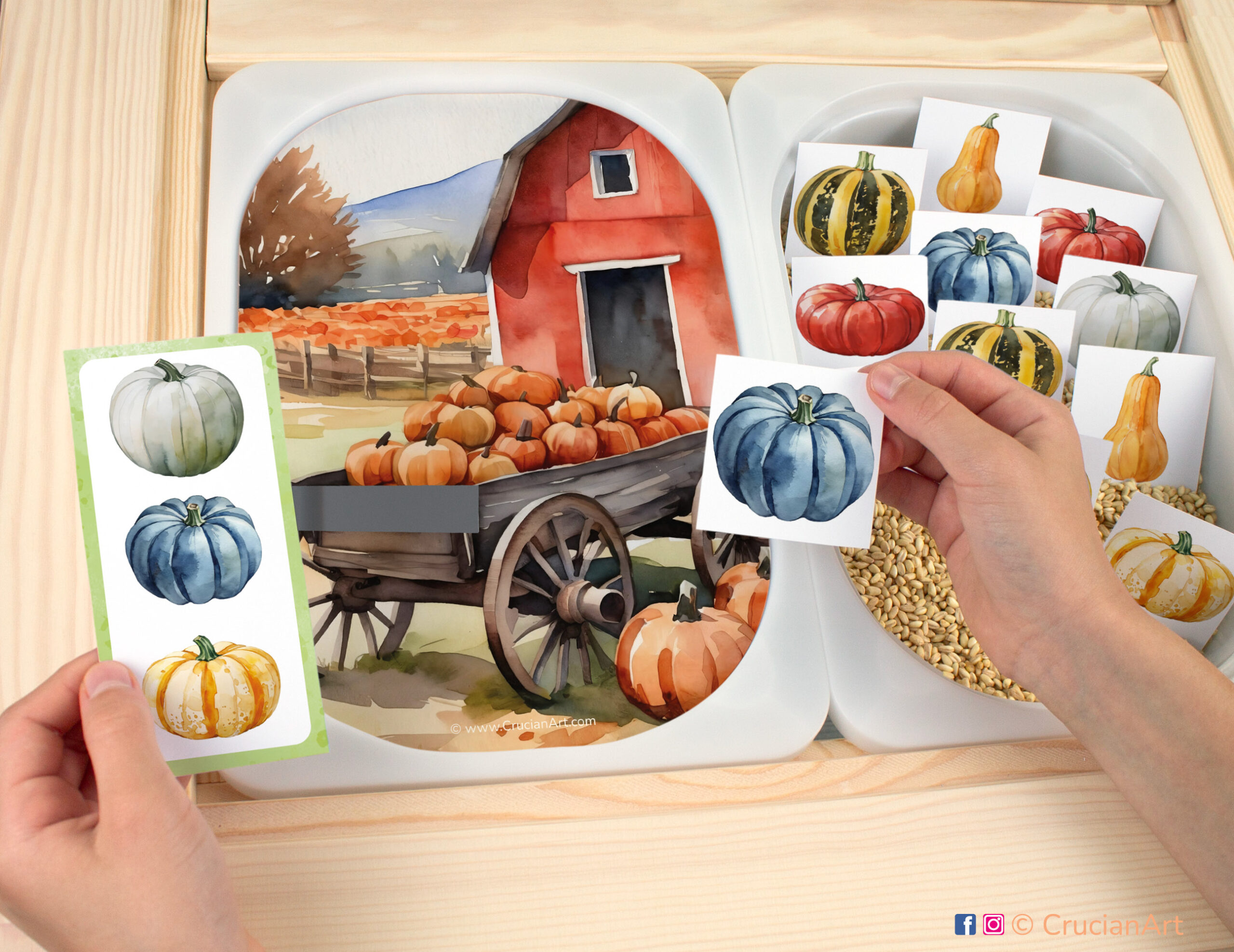 Pumpkin and squash matching activity for toddler. Fall season on the farm printable template for flisat sensory table for children.