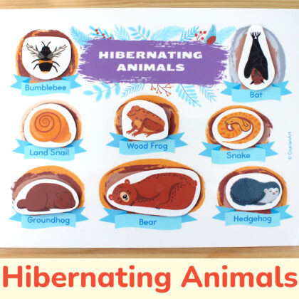 Hibernating animals winter printable activity for toddlers. DIY learning resource for preschool classrooms.