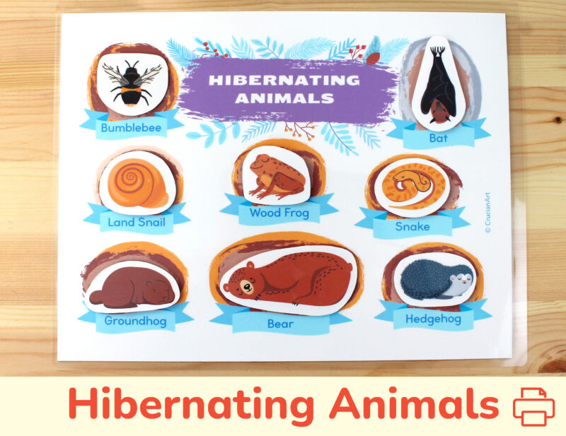 Hibernating animals winter printable activity for toddlers. DIY learning resource for preschool classrooms.