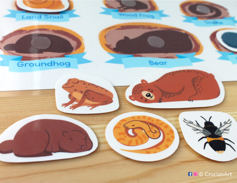 Hibernating animals learning activity for toddlers and preschoolers: brown bear, wood frog, groundhog, snake, bumblebee