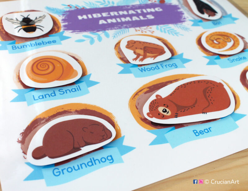 Winter season toddler activity with hibernating animals: brown bear, groundhog, land snail, wood frog, snake, bumblebee. DIY educational resource for homeschool, day care and preschool classrooms.