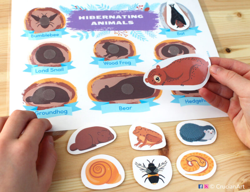 Winter season printable learning resource for toddlers and preschoolers. Hibernating animals silhouette matching activity for homeschooling and classrooms: brown bear, groundhog, bat, snake, land snail, hedgehog, bumblebee, wood frog.