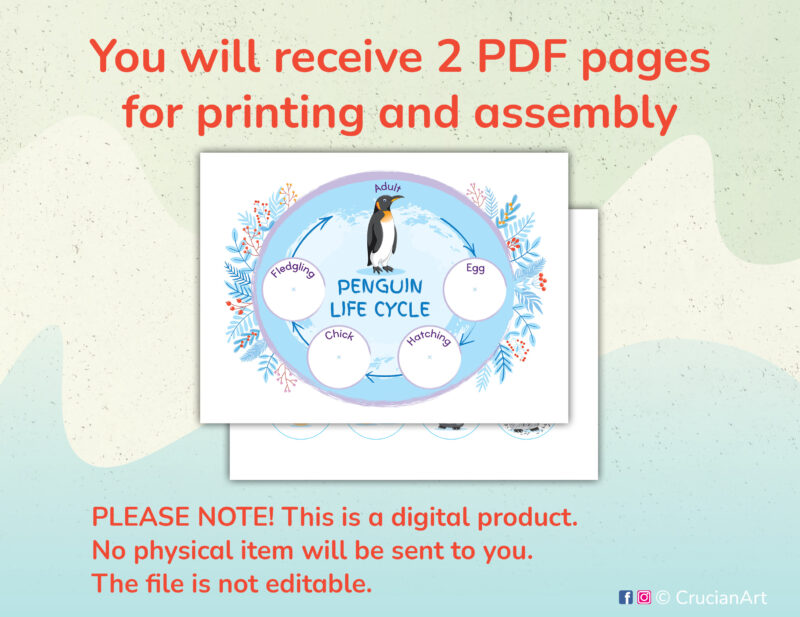 Penguin life cycle printable learning activity for toddlers, preschoolers, kindergarteners. Diy educational polar animals themed material.